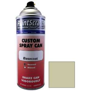  12.5 Oz. Spray Can of Desert Wind Metallic Touch Up Paint 