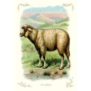 Exclusive By Buyenlarge The Sheep 12x18 Giclee on canvas:  