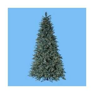   Noble Spruce Christmas Tree   Clear Lights by Gordon
