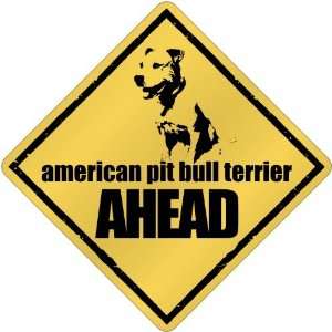  New  American Pit Bull Terrier Bites Ahead !  Crossing 