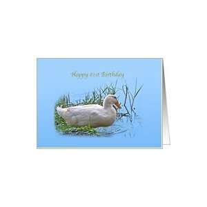  81st Birthday Card with Pekin Duck Card Toys & Games