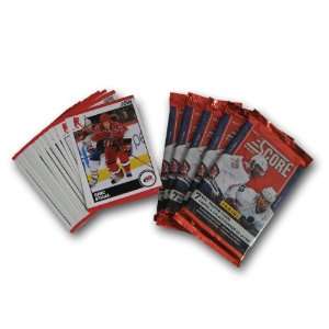 NHL Carolina Hurricanes 2010 Score Team Set:  Sports 