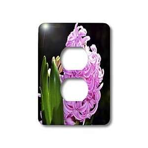 WhiteOak Photography Floral Prints   Spring Hyacinth in Garden   Light 