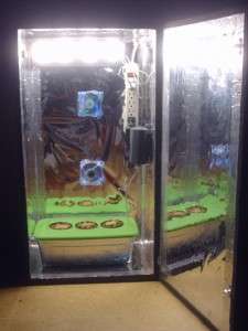 Grow Cabinet indoor hydroponic System almost 3 foot tall better than 