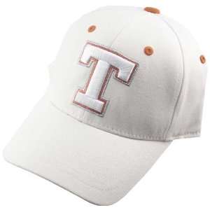 Texas Longhorns White Floss 1Fit Hat 
