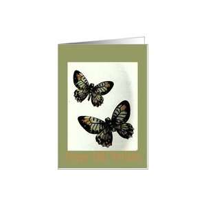 13th Birthday, Two Butterflies Card