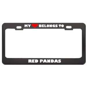   To Red Pandas Animals Metal License Plate Frame Holder Border Tag