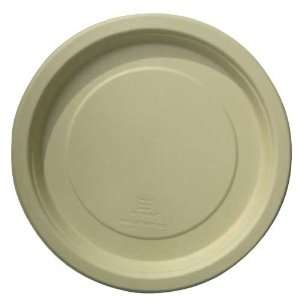  Disposable Plate, 10.25 Inch, Case of 500 Ea. Kitchen 