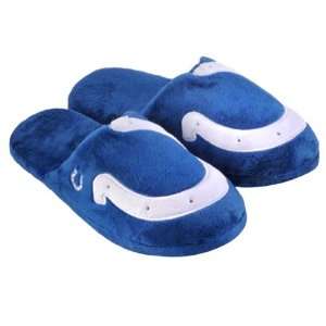    Indianapolis Colts 2010 Big Logo Slide Slipper: Sports & Outdoors