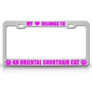 MY HEART BELONGS TO AN ORIENTAL SHORTHAIR Cat Pet Auto License Plate 