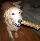 Dog Chews   ONE 12 inch Pressed Rawhide Bone for Med to X Large dogs 