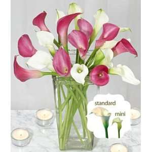  20 Heart & Soul Mini Calla Lilies: Patio, Lawn & Garden