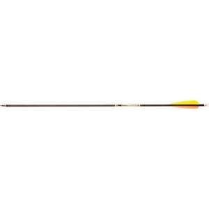 Gold Tip Expedition Hunter 5575 Raw Shafts 12pk  Sports 