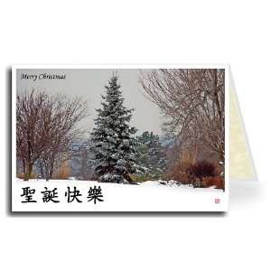  Chinese Greeting Card   Colorful Tree Snowy Merry Christmas 