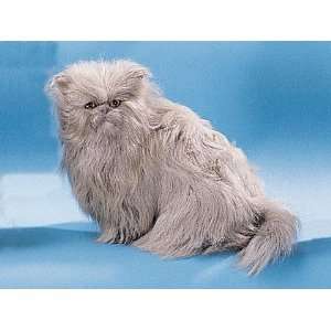  Persian Cat Sitting Down Collectible Figurine Kitten 