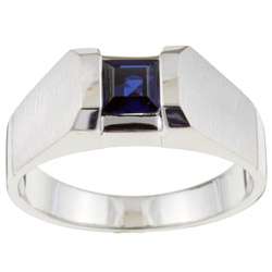 10k White Gold Mens Created Sapphire Ring (Size 10)  