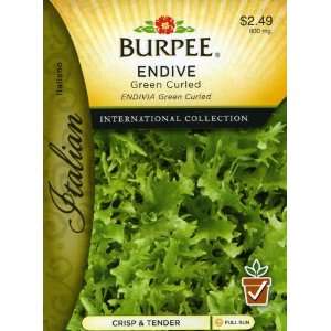  Burpee 69607 Italian   Endive Green Curled Seed Packet 