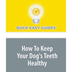  How To Keep Your Dogs Teeth Healthy Dont Let your Dog 