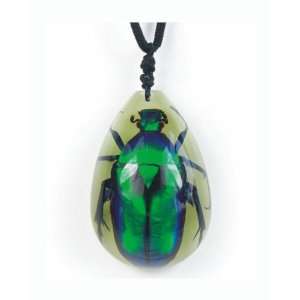  Real Insect Necklace Green Rose Chafer Beetle (GlowBig 