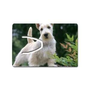  Cute Terrier Bookmark Great Unique Gift Idea: Everything 