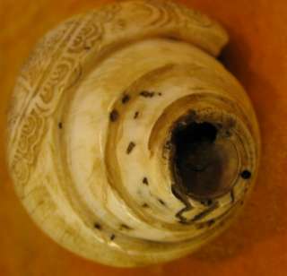 Name Wonderful Old Tibetan Buddhist Ritual Carved Shell Trumpet Horn 