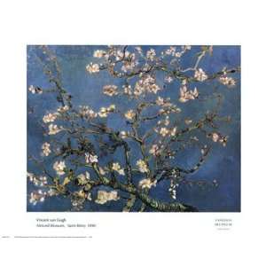  Blossoming Almond Tree, Saint Remy, c.1890   Poster by 