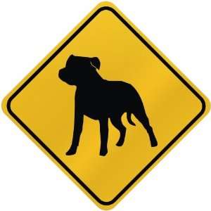  ONLY  STAFFORDSHIRE BULL TERRIER  CROSSING SIGN DOG 