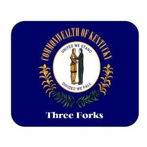  US State Flag   Three Forks, Kentucky (KY) Mouse Pad 