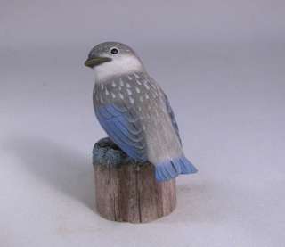 Baby Bluebird Backyard Bird Wood Carving/Birdhug  