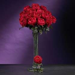 Artificial Large Rose Stems (Set of 12)  