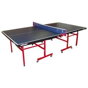  ACE Table Tennis Table