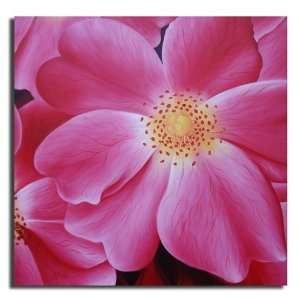    Pink Blooms Hand Painted Canvas Art Oil Painting: Everything Else