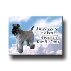  Kerry Blue Terrier True Friend Fridge Magnet: Everything 
