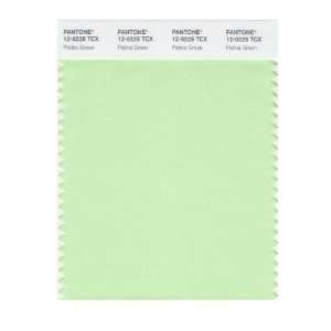   SMART 12 0225X Color Swatch Card, Patina Green