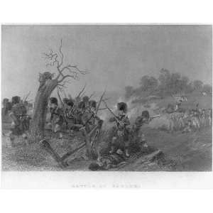  Battle of Harlem,New York City,NYC,1776,soldiers,rifles 