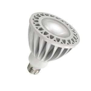 14 Watt Dimmable LED PAR30 Flood Bulb