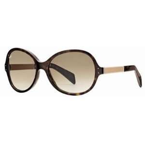 Tods 16 Havana / Light Brown Sunglasses