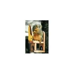  Looker Squirrel Chair