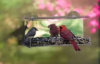 Duncraft Cardinal Mirror Window Bird Feeder  