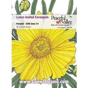  Coreopsis Seed Pack, Lance Leafed Patio, Lawn & Garden