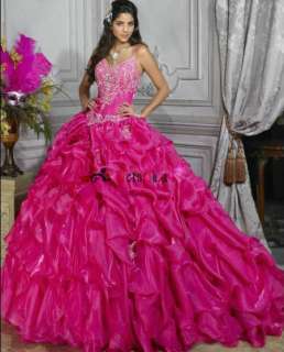 Custom Pink Quinceanera Dresses Ball Gowns Prom Dresses Size 6 8 10 12 