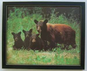 Bear Prints Framed Country Picture Print For Interior Home Decor 16x20 