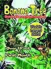 banana tree seeds  