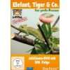 Elefant, Tiger & Co., Teil 17 (2 DVDs): .de: Filme & TV