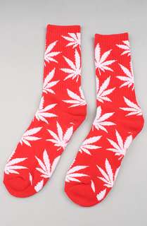 HUF The Spirit of 76 Plantlife Socks in Red and White  Karmaloop 