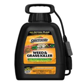   Ready to Use Weed and Grass Killer Pump HG 54004 