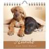 Dogs 2012. Broschürenkalender  Bücher