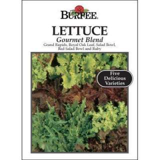 Burpee Lettuce Leaf Gourmet Blend Seed 63511  