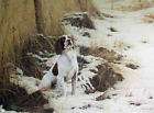 Steven Townsend ROY AND LILLY Border Collies Dog Dogs items in 