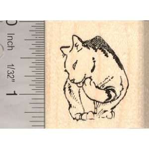  Grooming Cat Rubber Stamp Arts, Crafts & Sewing